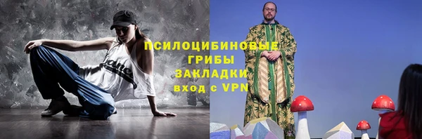 МДПВ Алексеевка